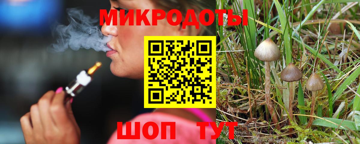 Галлюциногенные грибы мицелий Златоуст